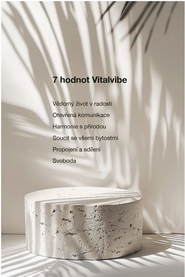 Hodnoty Vitalvibe